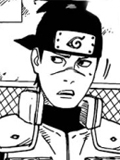 Iruka Iruka